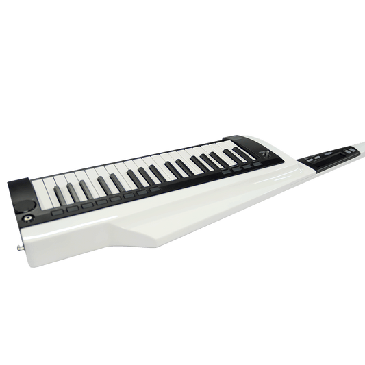 KORG スタイリッシュでステージ映えするキーター【RK-100S 2WH】