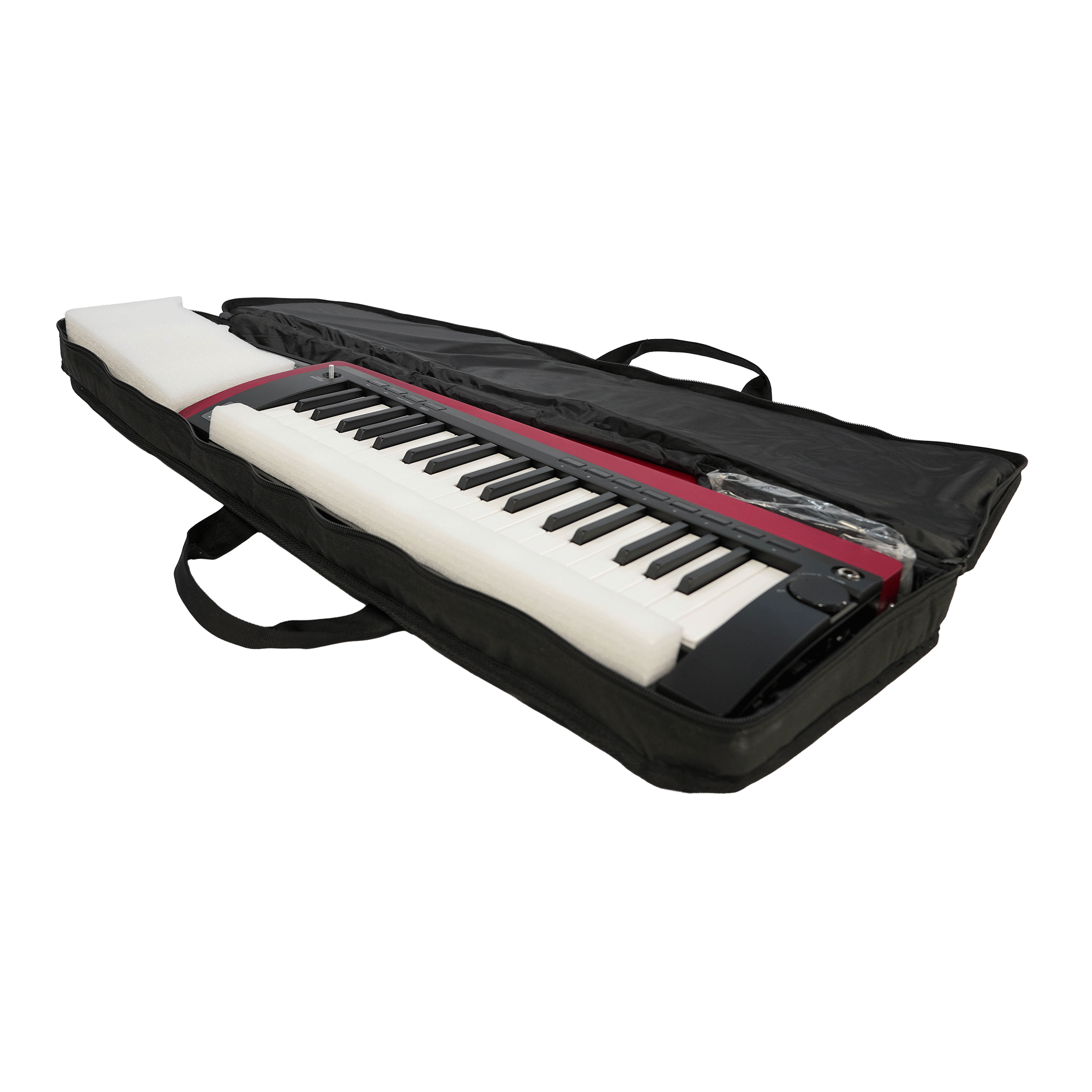 KORG スタイリッシュでステージ映えするキーター【RK-100S 2RD】