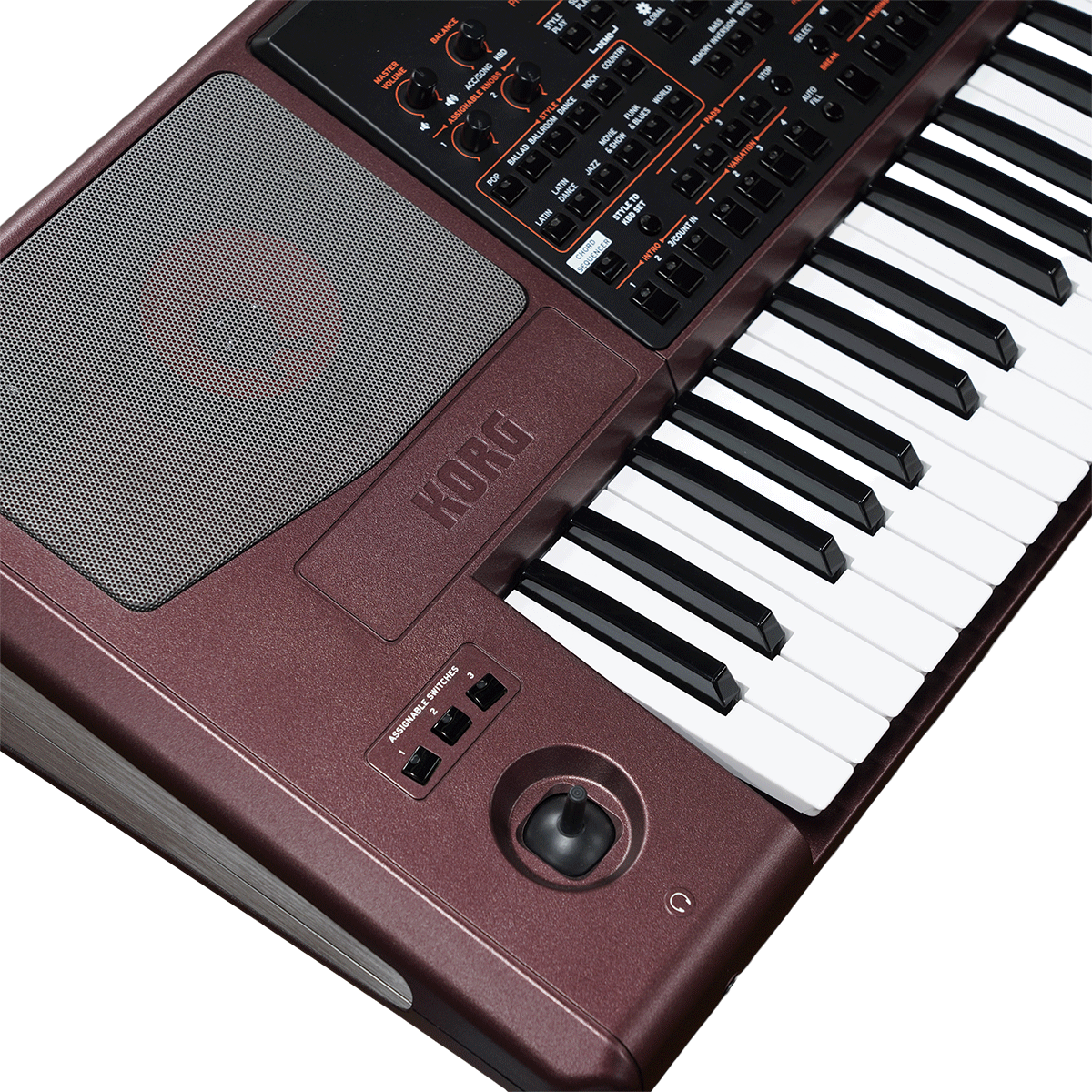 KORG 訳ありプライス！プロフェッショナル・アレンジャーの最高峰【PA1000】