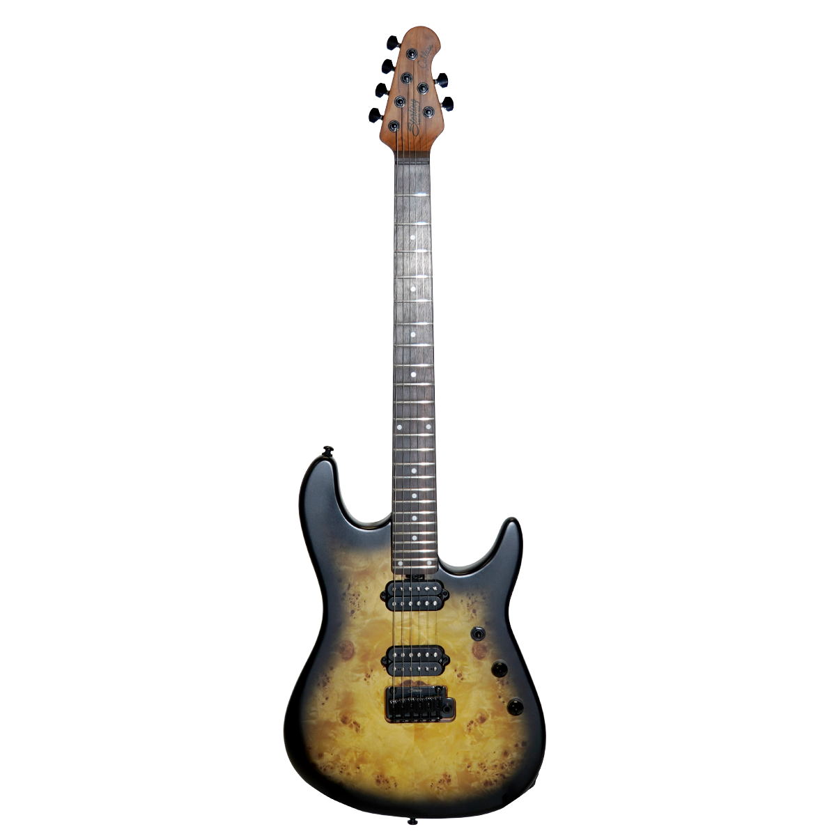 Sterling by Music Man エレキギター【RICHARDSON6 　Natural Poplar Burl Burst】
