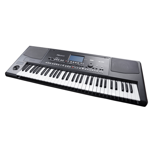 KORG 高品質サウンド＋自動伴奏機能＋スピーカー内蔵の61鍵盤キーボード【Pa300】