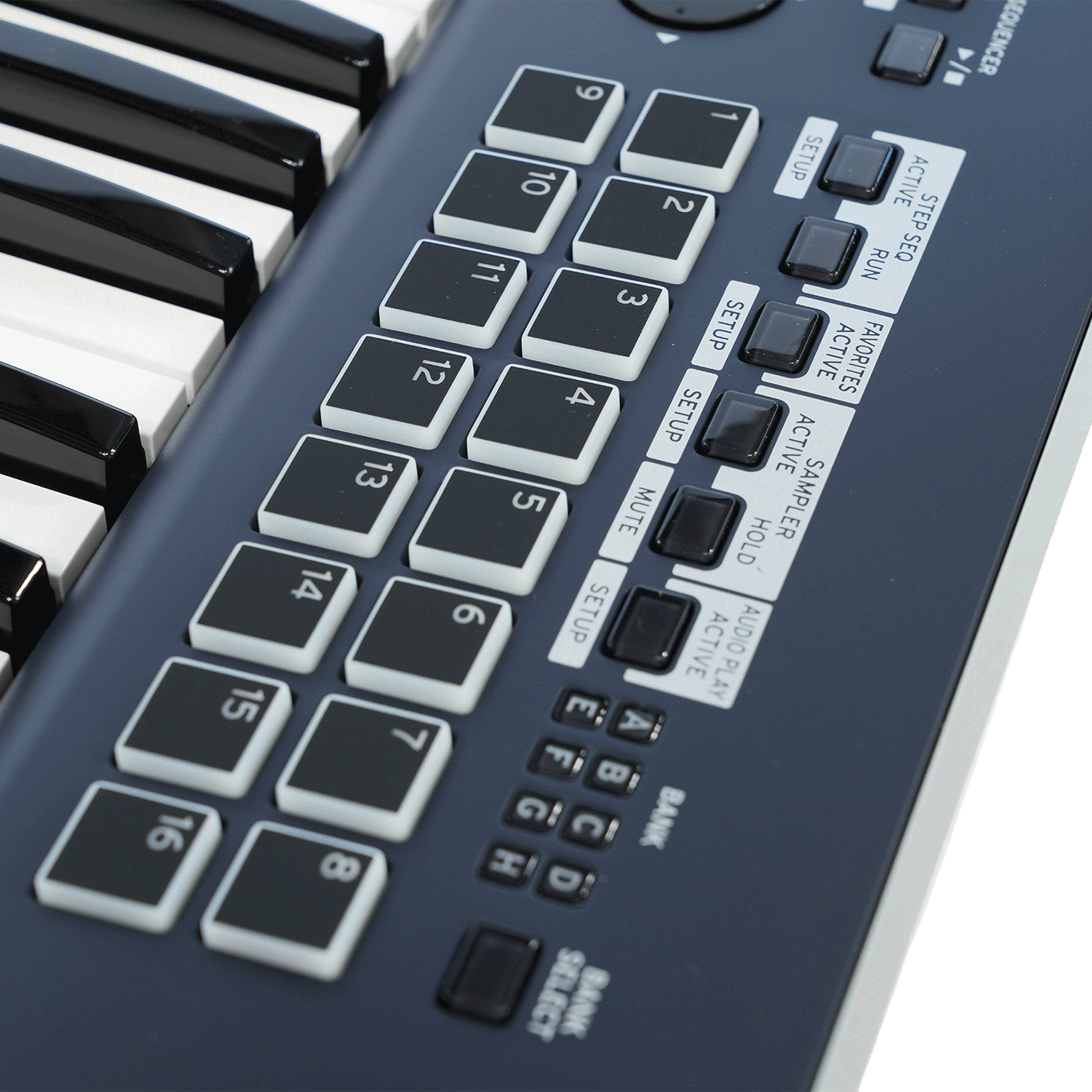 KORG 最初の一台はこれ！シンセサイザー・ワークステーション【KROSS 61-DB（Dark Blue）】