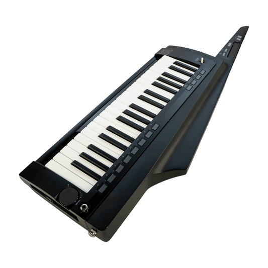 KORG 訳あり特価！スタイリッシュなキーター【RK-100S 2BK】