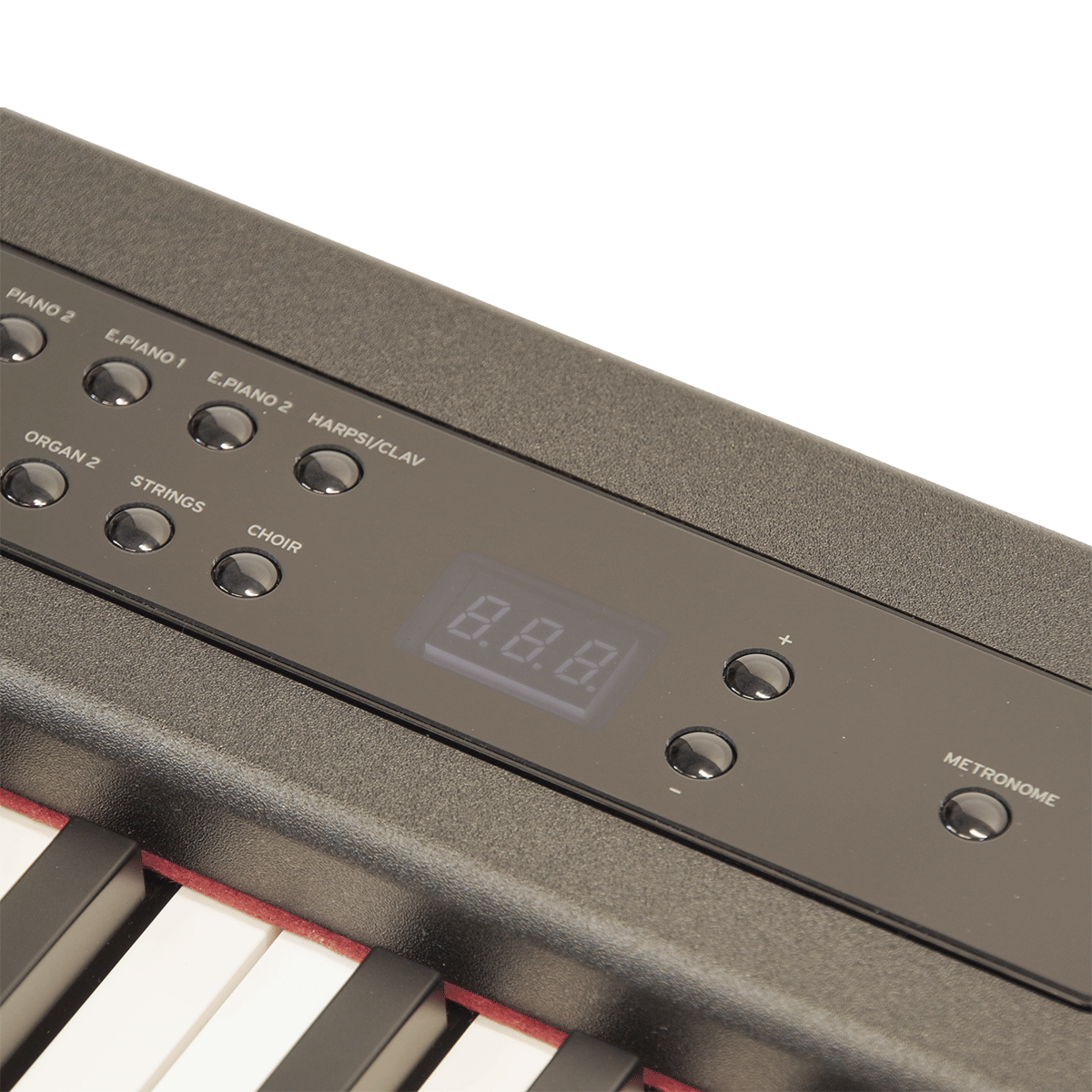 KORG リアルタッチを追求した電子ピアノ【D1】
