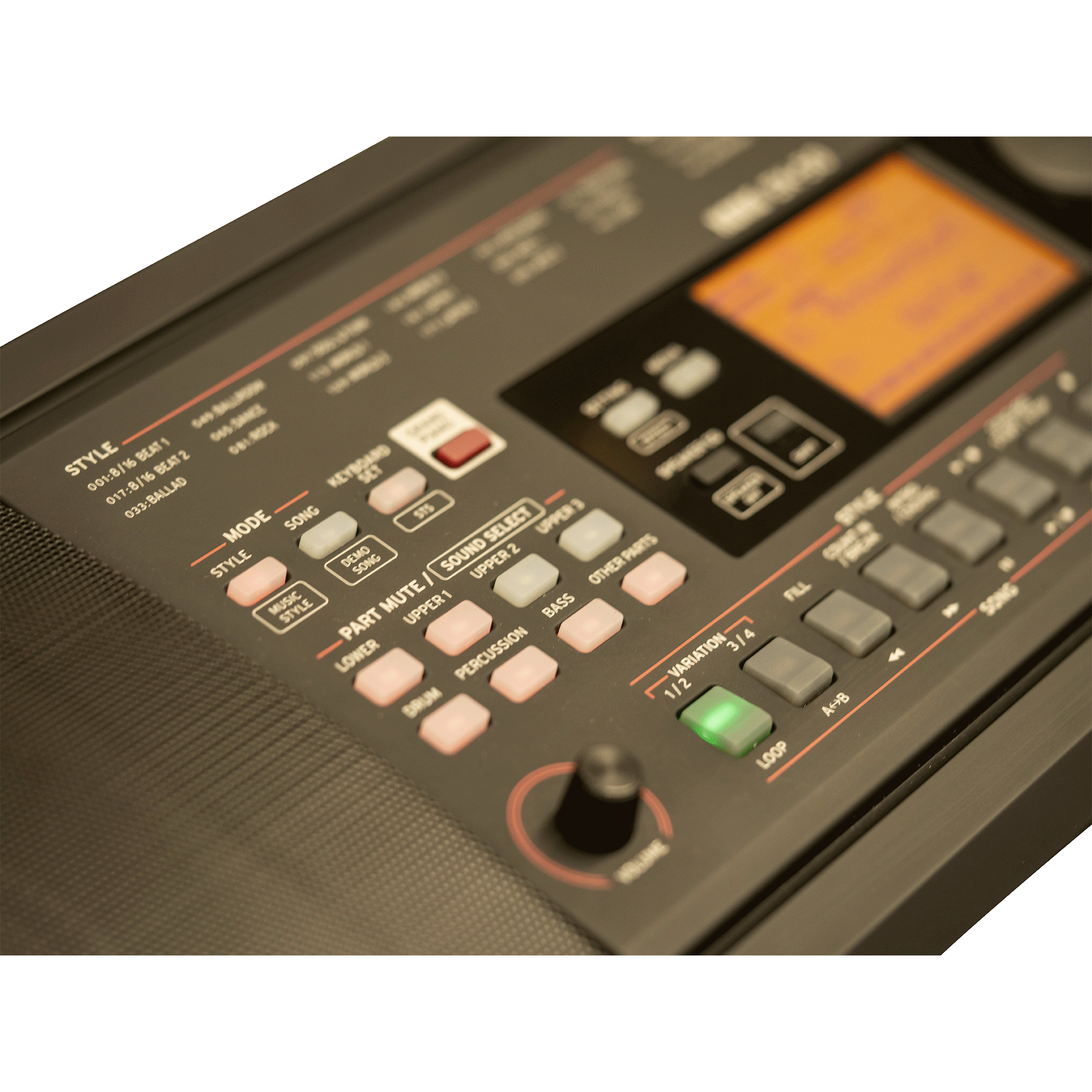 KORG エンターティナー・キーボード【EK-50 Limitless】