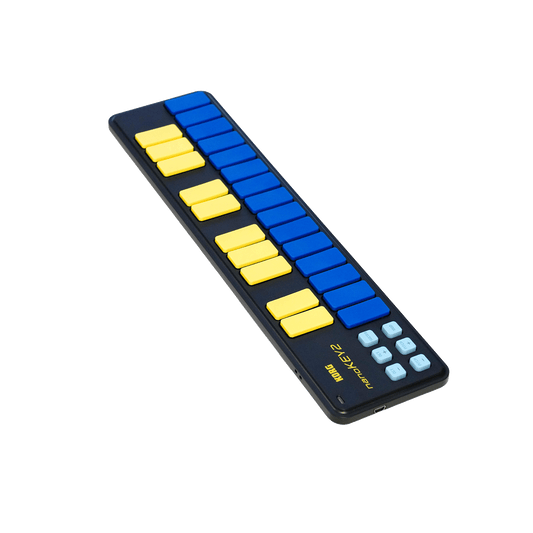 KORG USB-MIDIキーボード【NANOKEY2-BLYL】